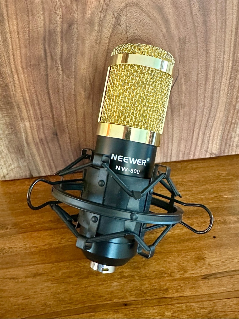 Neewer® NW-800 Professional Studio Broadcasting & Recording Microphone